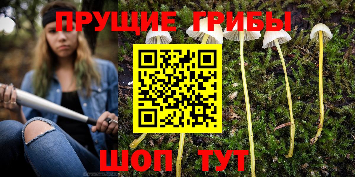 Галлюциногенные грибы мухоморы Лыткарино