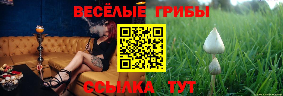 Псилоцибиновые грибы MAGIC MUSHROOMS  Псилоцибиновые грибы мицелий  Вход с VPN  Лыткарино 